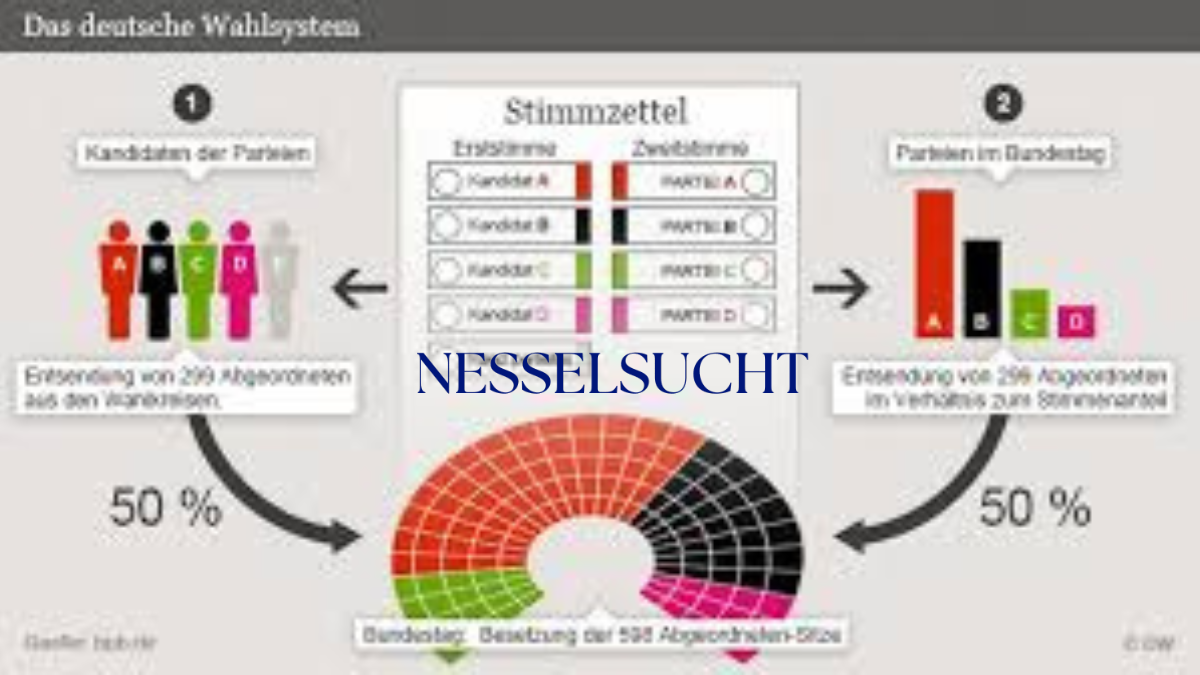 wie wähle ich bei der bundestagswahl